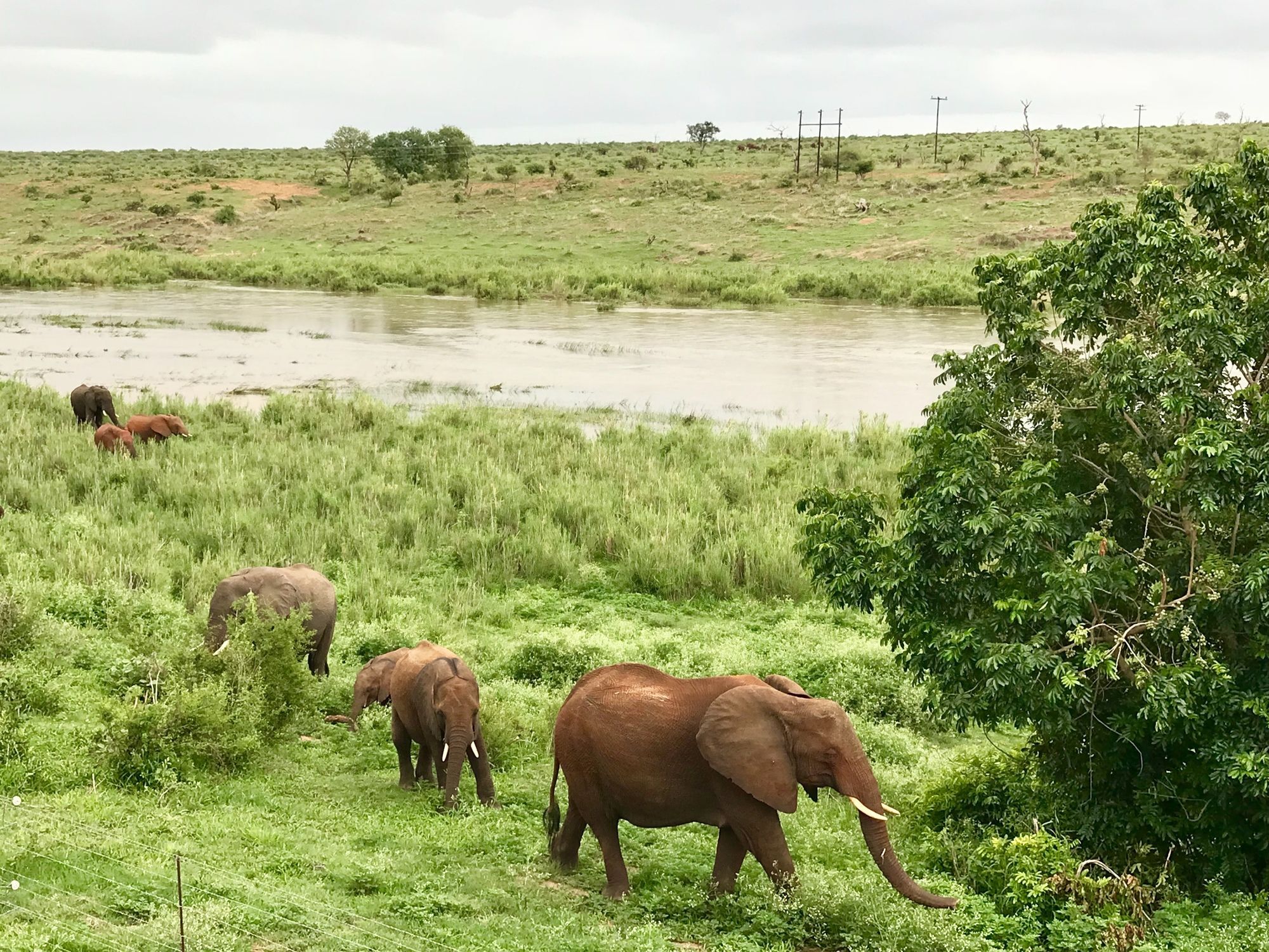 Elephant Walk Retreat Коматипорт Екстериор снимка